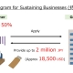 Subsidy Program for Sustaining Businesses in Japan